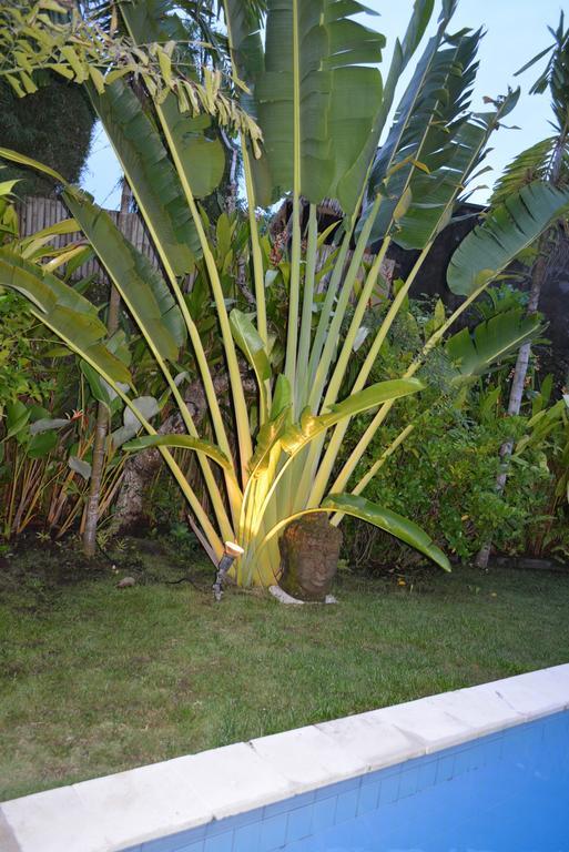 Villa Raquel Seminyak Pokój zdjęcie